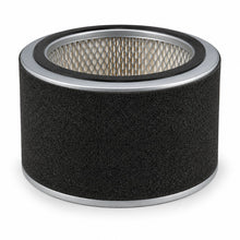 Load image into Gallery viewer, 274P - Solberg - OEM Replacement Filter
