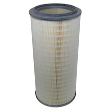 Load image into Gallery viewer, P7415RM - Micro Air - OEM Replacement Filter
